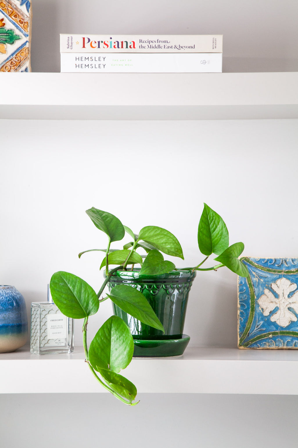 files/IndoorPlants_2-JamieShots20.11.2023-029.jpg